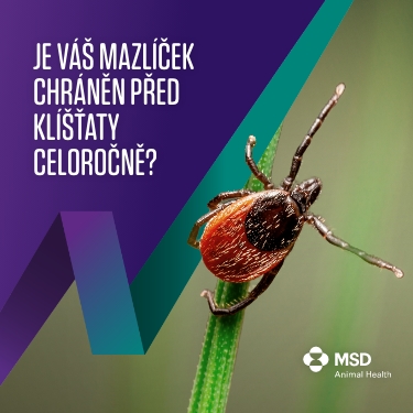 06.BRV IID VET SM PACK CZ Reminder 02